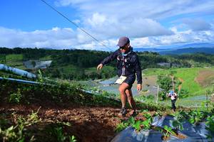 BIB: 
                            <button type="button" onclick="openModal(13381460)" class="btn btn-primary btn-sm float-right btn-popup" data-toggle="modal" data-target=".modal-high-quality">
                        <i class="fas fa-shopping-cart"></i> Add to Cart
                    </button>
                                            <button type="button" onclick="isThisMe(13381460, true)" class="btn btn-success btn-sm float-right btn-popup btn-isme hidden" data-toggle="tooltip" data-placement="bottom" title="นี่คือรูปของคุณใช่ไหม คลิกที่นี่เพื่อเอาเข้าอัลบั้ม">
                        <i class="fas fa-plus"></i> Add to album
                    </button>
                    <button type="button" onclick="isThisMe(13381460, false)" class="btn btn-warning btn-sm float-right btn-popup btn-isnotme hidden">
                        <i class="fas fa-ban"></i> Remove from album
                    </button>